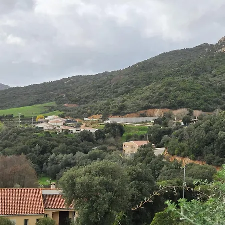 فيلة Bas De Alata